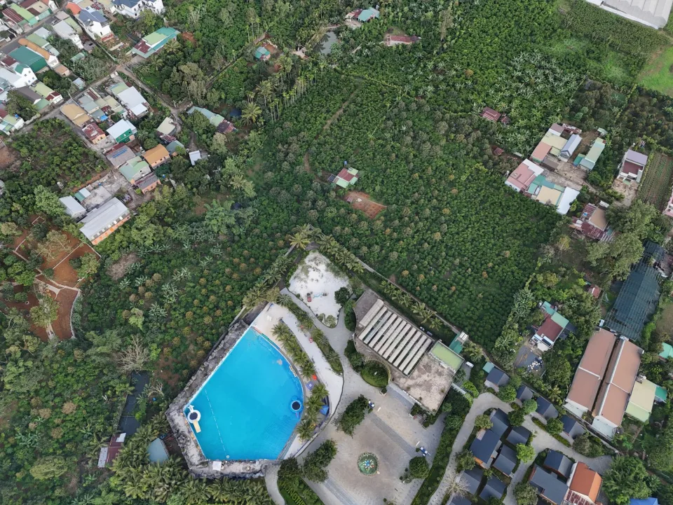 Tại Hoàng Thị Liên